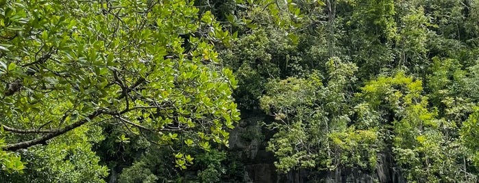 Crocodile Cave is one of Langkawi.