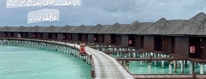 Niyama Maldives is one of Maldives - Seychelles - Ile Maurice.