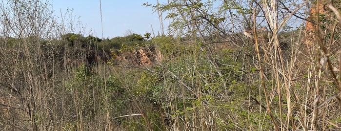 Aravalli Biodiversity Park is one of INDIA.