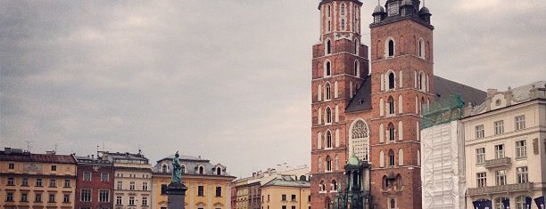 Cracovia is one of City.