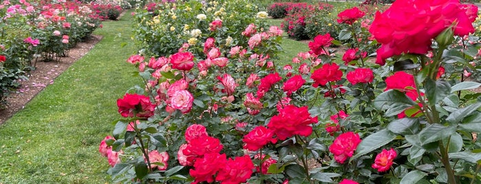 Josephine's Rose Garden is one of Gardens to behold.