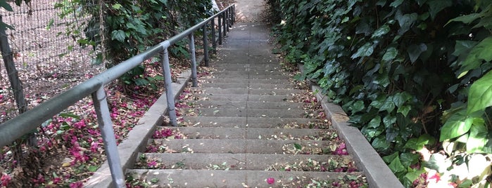 Landa Street Stairs is one of Cali.