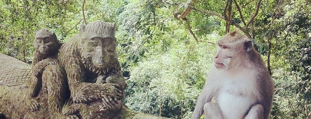 Sacred Monkey Forest Sanctuary is one of Bali Favourites.