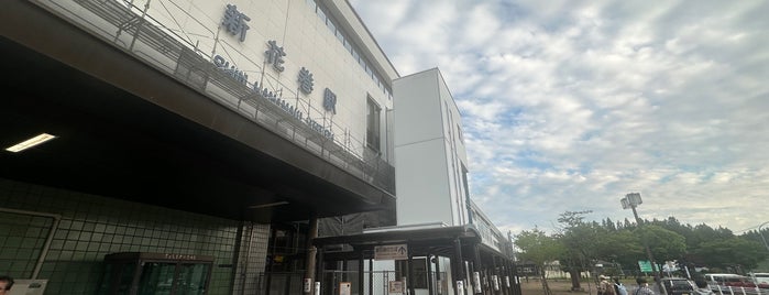 Shin-Hanamaki Station is one of 新幹線の駅.