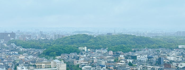 Sakai City Hall is one of 日本の市の人口順位トップ100.