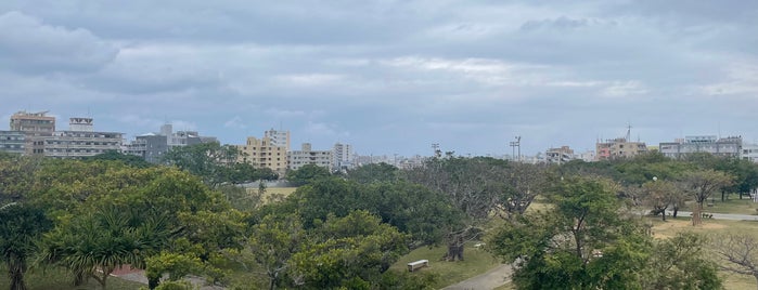 Shintoshin Park is one of Okinawa.