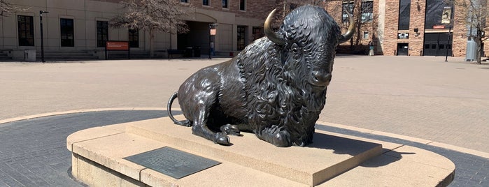 Ralphie The Buffalo is one of Denver and Colorado Springs Restaurants & Bars.
