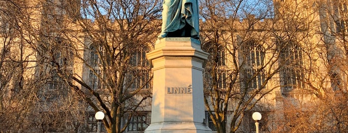 Linné Monument is one of Chicago Favorites.