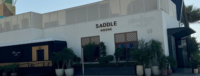 SADDLE is one of AD.