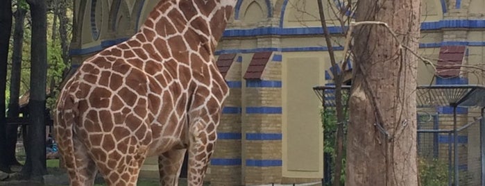 Zoo Berlin is one of Germany.