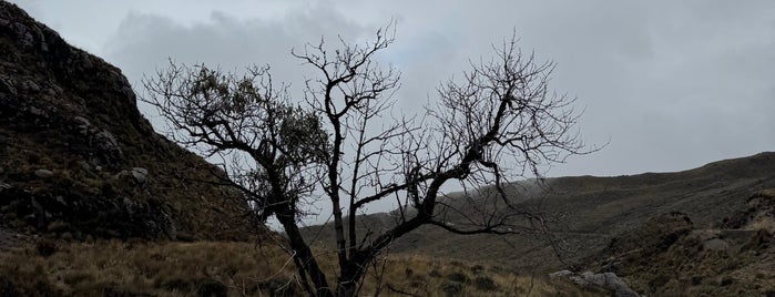 Parque Natural Los Nevados is one of 🇨🇴.