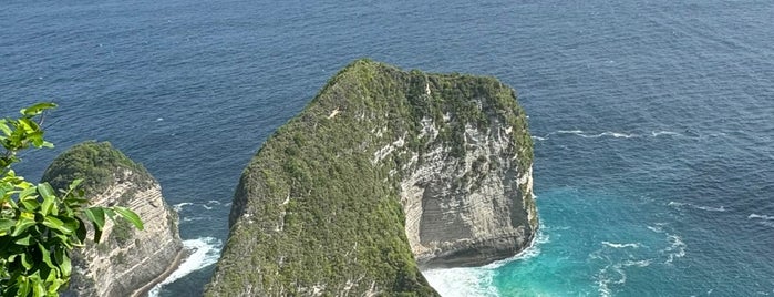 Kelingking Beach is one of BALI (without Canggu/Seminyak).