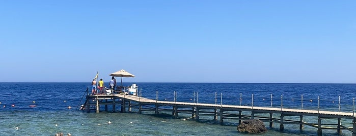 Sharm El Sheikh is one of Best Around the World!.