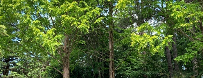 Juniper Level Botanic Garden is one of Raleigh, NC.