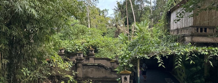 Elephant Ride Bali Zoo Park is one of Tempat yang Disukai Ugur Kagan.