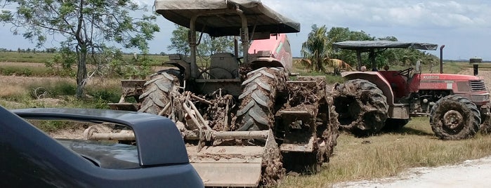 Felcra Plantation Services S/B Seberang Perak is one of Felcra Office.