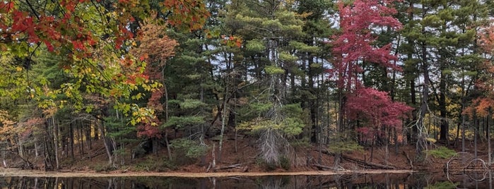 Harold Parker State Forest is one of Hiking, Gardens North Shore and Merrimack Valley.