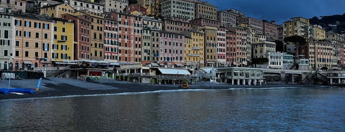 Camogli is one of Italy.