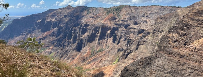 Halemanu Cliff Trail Lookout is one of Hawaii to-do's.