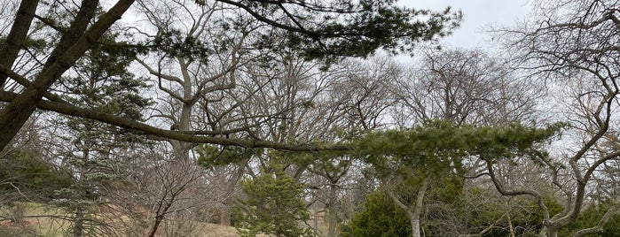 High Park is one of i ate here.