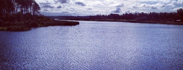 Laguna del diario is one of Anaさんの保存済みスポット.