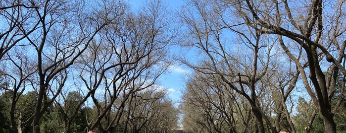 Temple of Heaven West Gate is one of สถานที่ที่ Alo ถูกใจ.