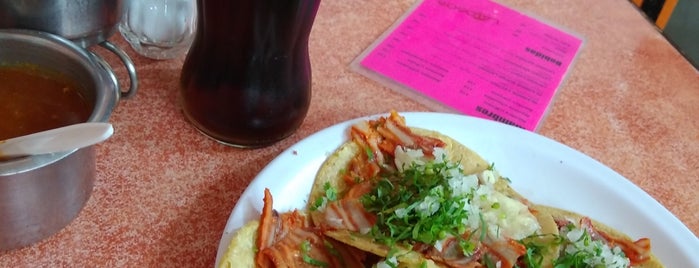 Tacos Latosos is one of Favorite Food.