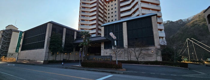 Hotel Sunshine Kinugawa is one of ホテル.