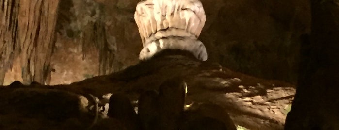 Luray Caverns is one of Tamara : понравившиеся места.