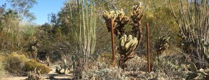 The Living Desert Zoo & Botanical Gardens is one of Lugares favoritos de Tamara.