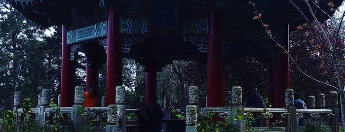 Golden Gate Park Chinese Pavilion is one of San Francisco, CA Spots.