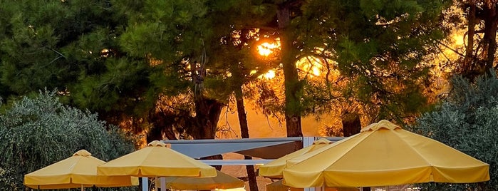 Royal Paradise Beach Resort & Spa is one of Thassos.