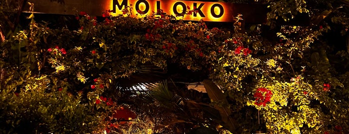 Moloko is one of Miami Restaurants.