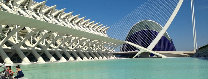 Museo de las Ciencias Príncipe Felipe is one of Valencia.