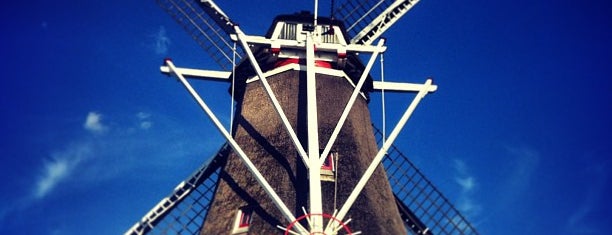 Havekes Mölle is one of I love Windmills.