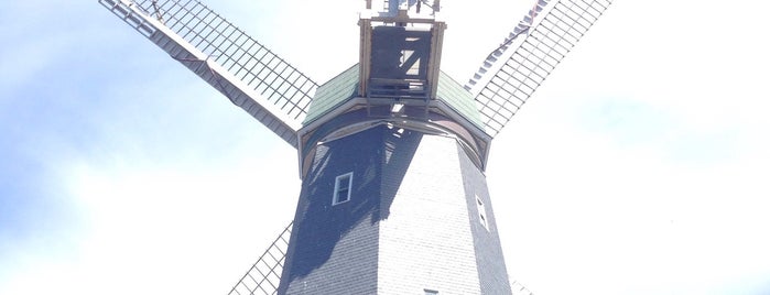 Dutch Windmill is one of SF for friends.