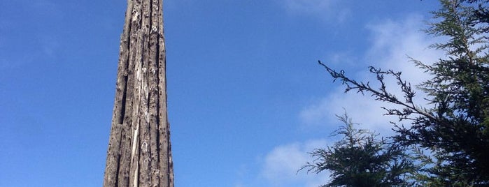 Goldsworthy Spire is one of SF for friends.