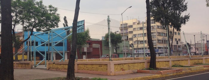 Camellón Av. Ing. Eduardo Molina is one of Wanders.