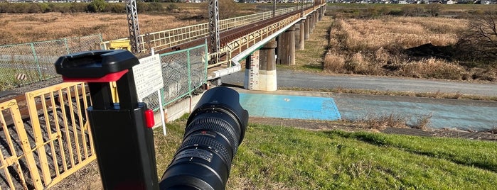 江戸川橋梁 is one of 千葉県と隣県を繋ぐ鉄道橋.