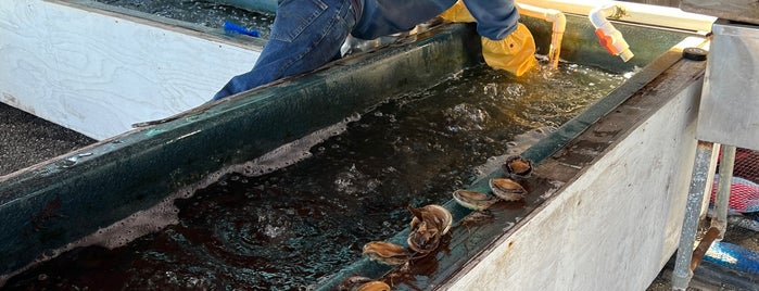 American Abalone Farms is one of Half Moon Bay.