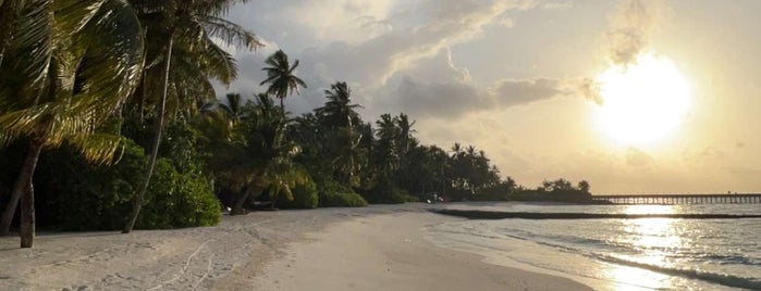 Cheval Blanc Randheli is one of Maldives - Seychelles - Ile Maurice.