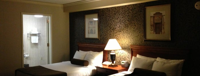 Crowne Plaza Houston-Downtown is one of 2 do list.