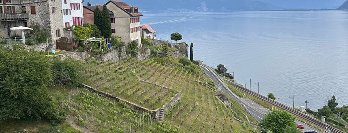 Lavaux Vinorama is one of Lausanne.