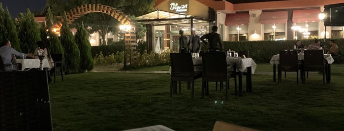 Diwan Restaurant is one of Travle.