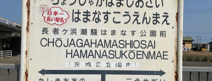 Chōjagahama Shiosai Hamanasu Kōenmae Station is one of 大洗鹿島線.
