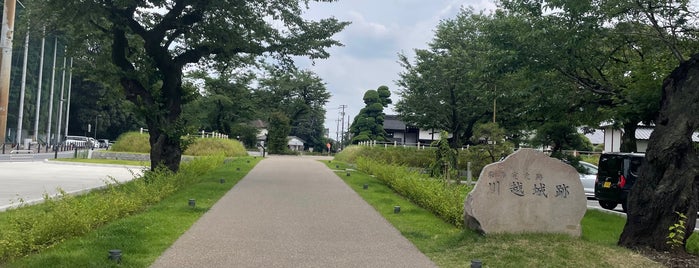 初雁公園 is one of 公園_埼玉県.