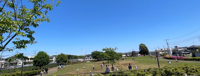 新鎌ふれあい公園 is one of Kamagaya.