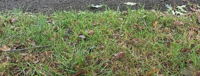 East Lampeter Community Park is one of parks.