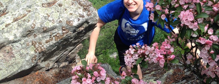 Buzzard Rock Trail is one of Lieux qui ont plu à Wendi.