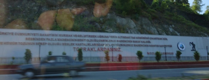 Kozlu is one of Erman'ın Beğendiği Mekanlar.